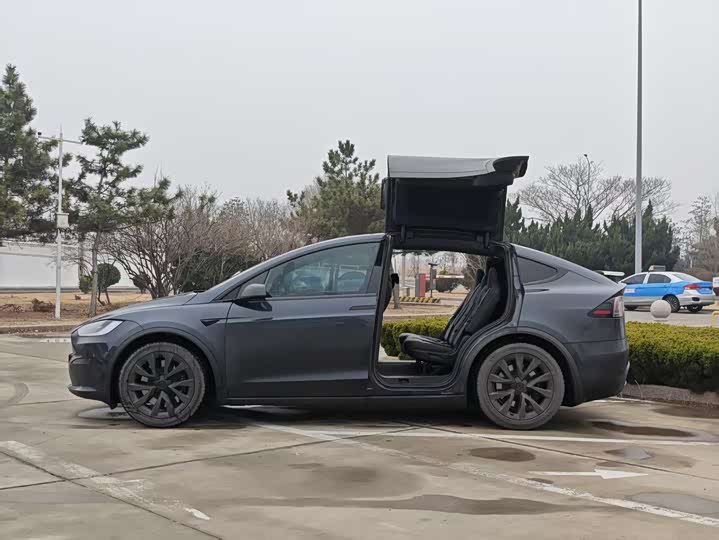 Фото 3 - Tesla Model X