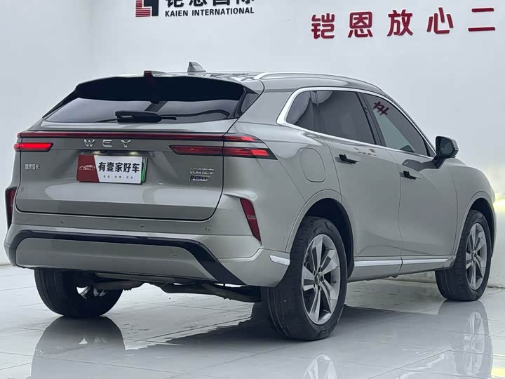 Фото 4 - Wey Mocca Hybrid