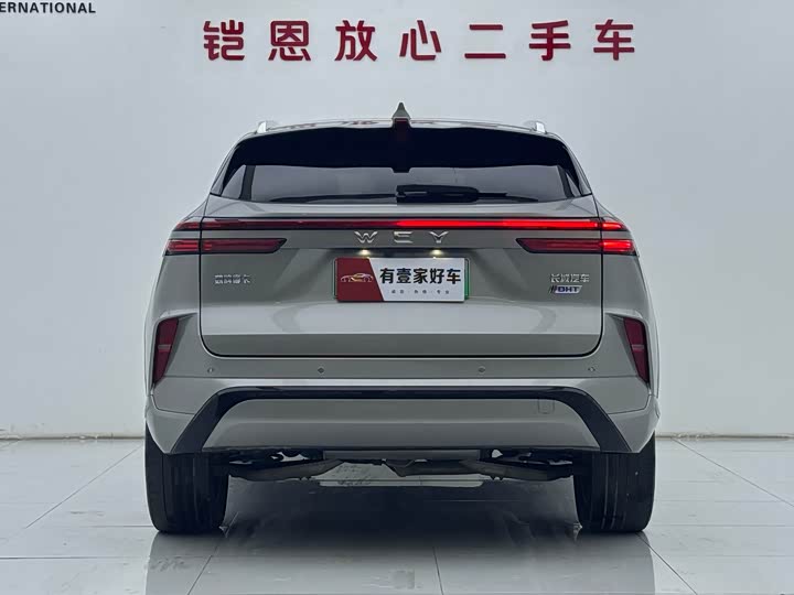 Фото 5 - Wey Mocca Hybrid