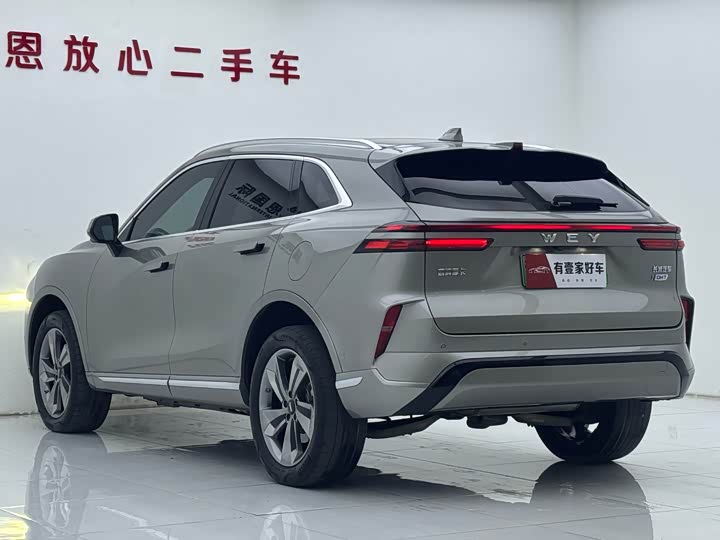 Фото 6 - Wey Mocca Hybrid