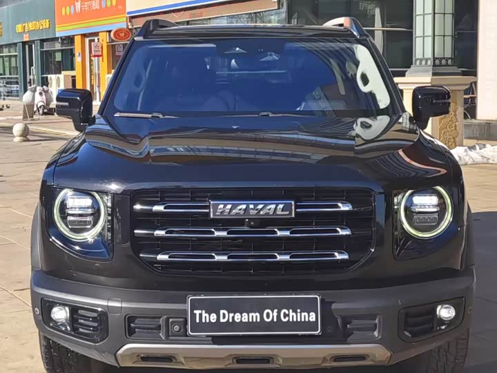 Фото 2 - Haval Dargo