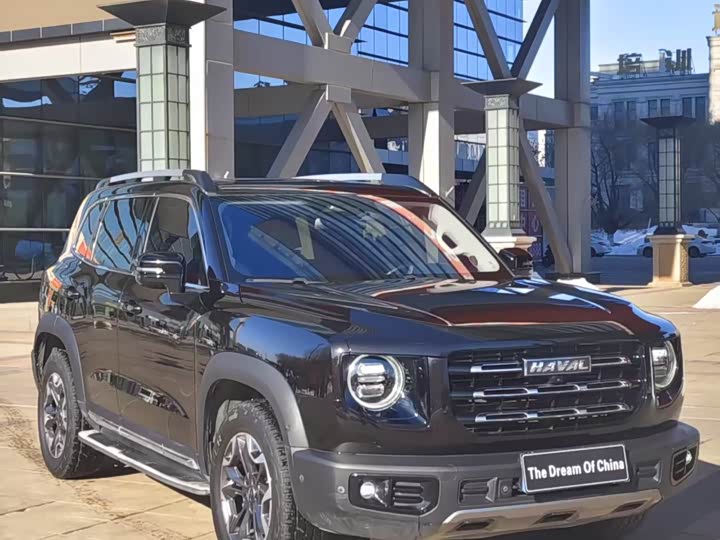 Фото 3 - Haval Dargo