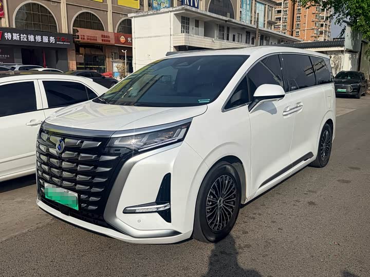 Фото 1 - Denza D9