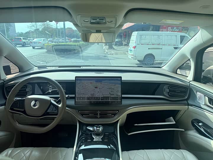 Фото 4 - Denza D9