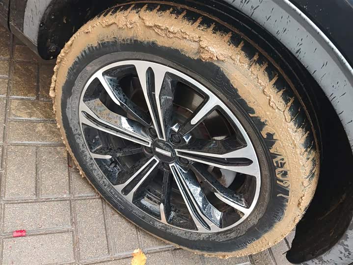 Фото 6 - Wey VV6