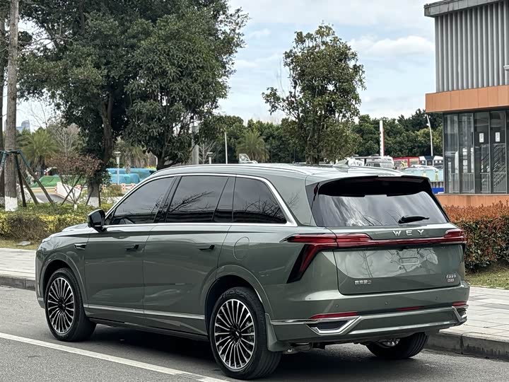 Фото 7 - Wey Lanshan