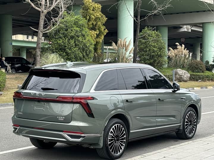 Фото 9 - Wey Lanshan