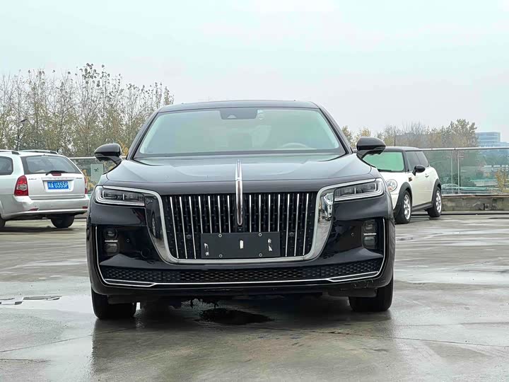Фото 2 - Hongqi H9
