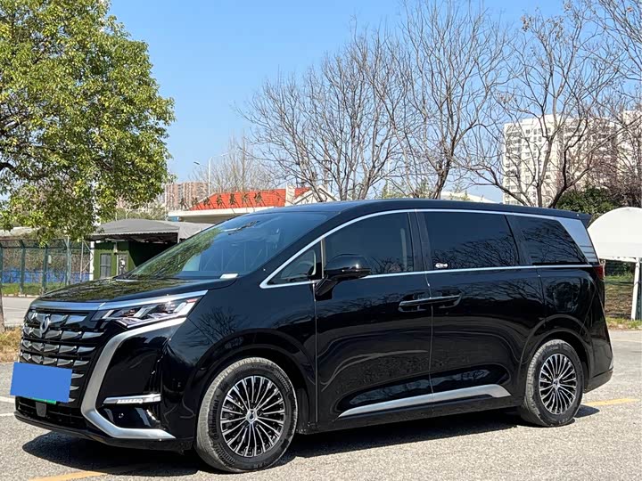 Фото 1 - Denza D9