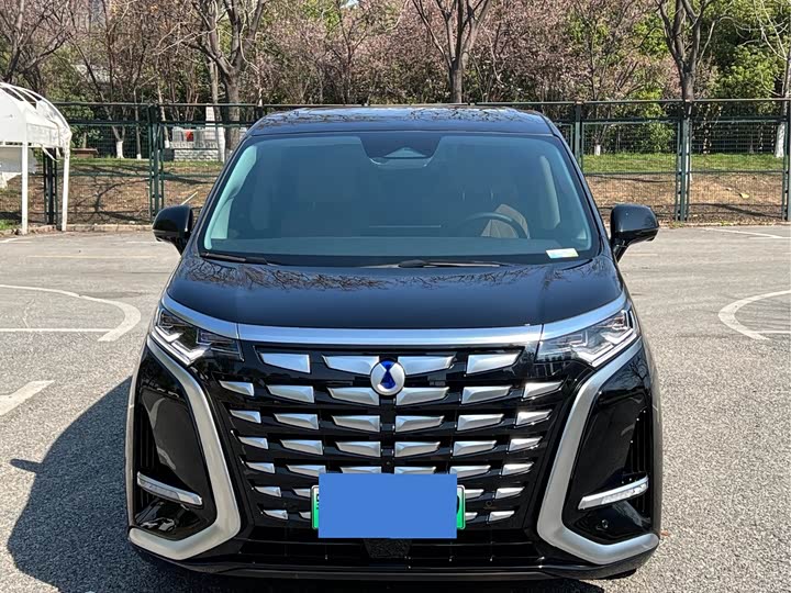 Фото 2 - Denza D9