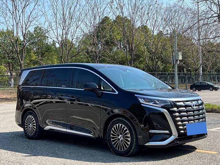 Фото 3 - Denza D9