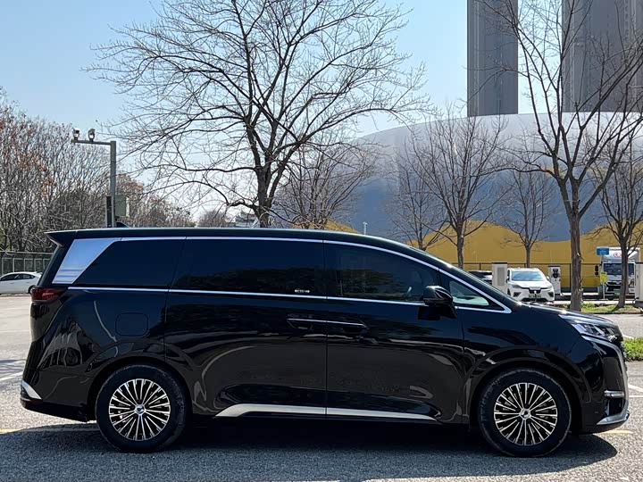 Фото 4 - Denza D9