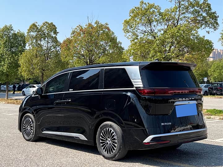 Фото 7 - Denza D9