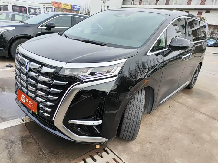 Фото 1 - Denza D9