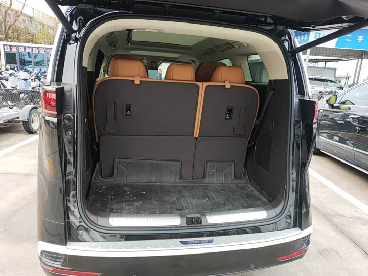 Фото 6 - Denza D9