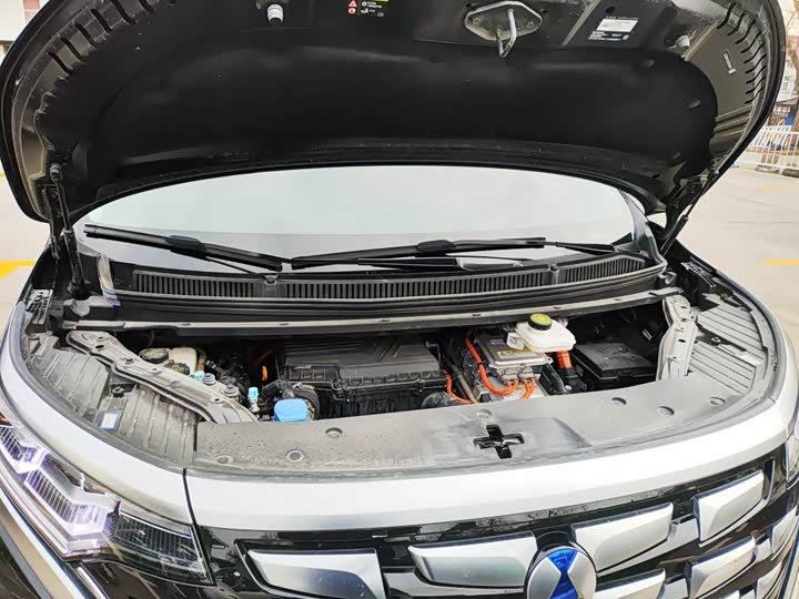 Фото 7 - Denza D9