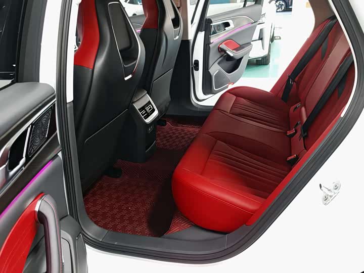 Фото 5 - Hongqi H6