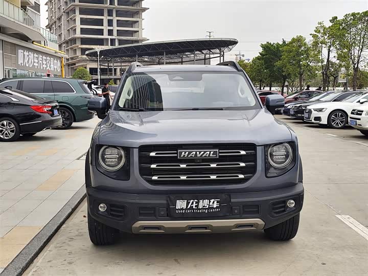 Фото 3 - Haval Dargo