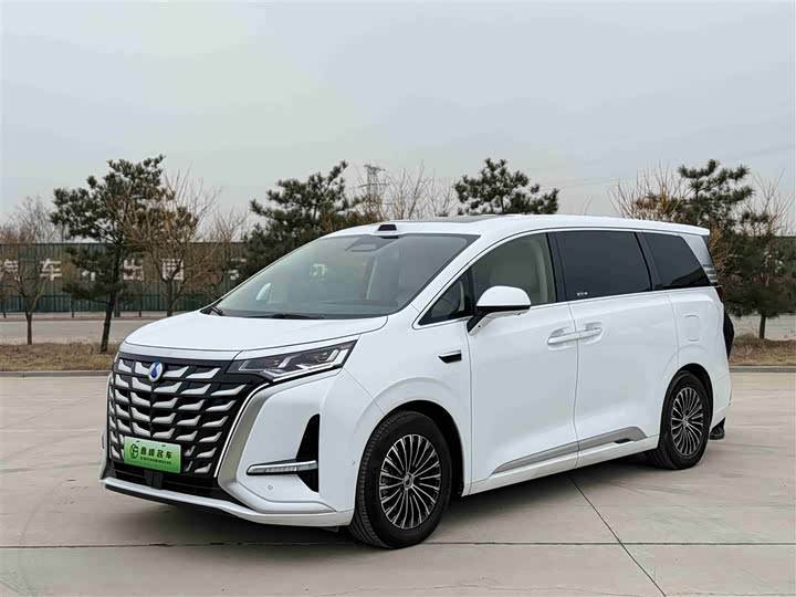 Фото 1 - Denza D9