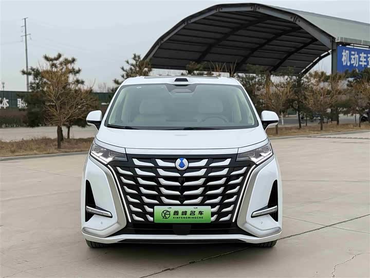 Фото 2 - Denza D9