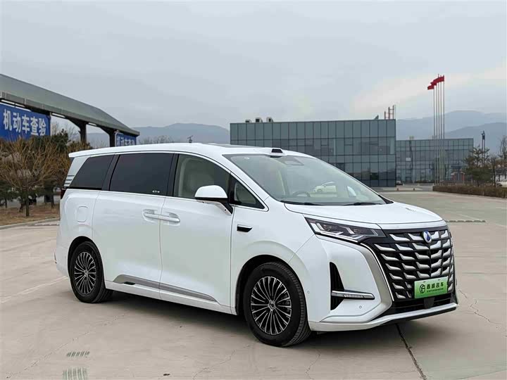 Фото 3 - Denza D9