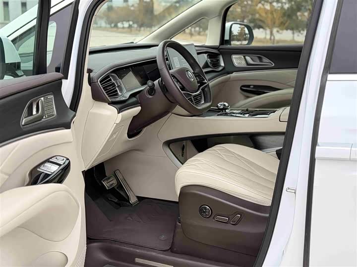 Фото 4 - Denza D9