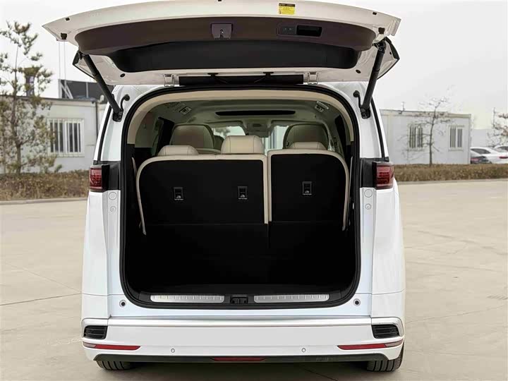 Фото 6 - Denza D9