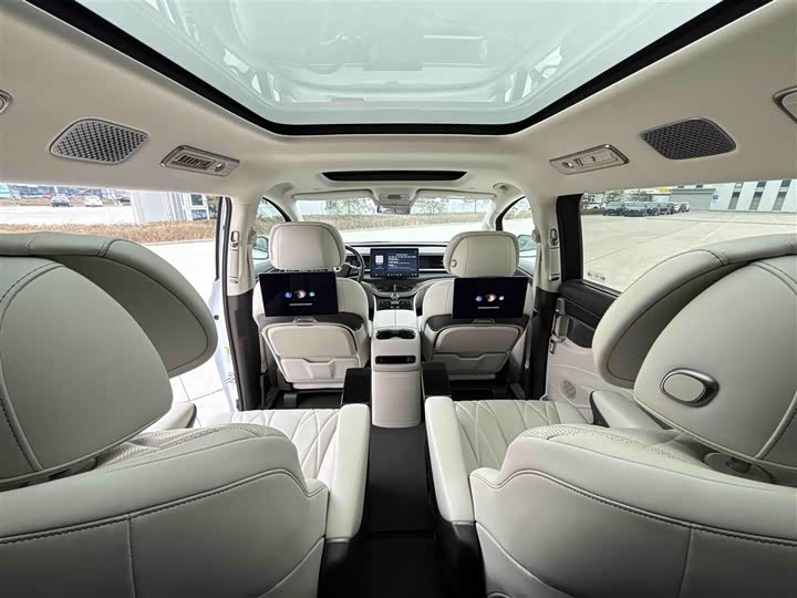 Фото 8 - Denza D9