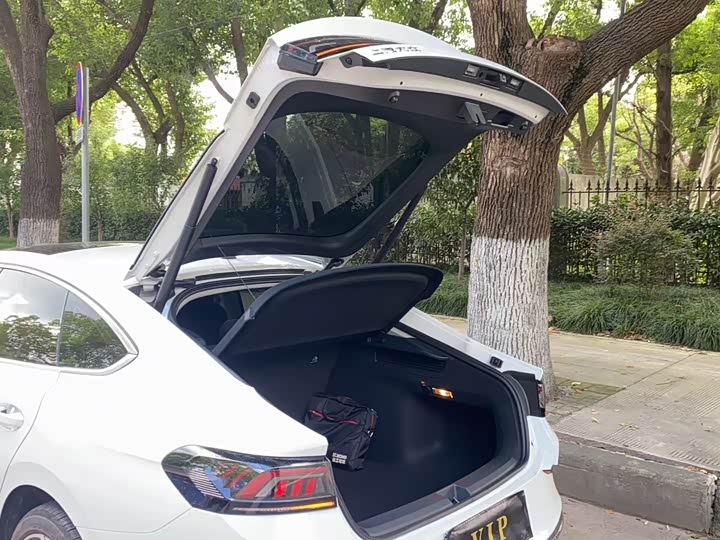 Фото 7 - Volkswagen Lamando L