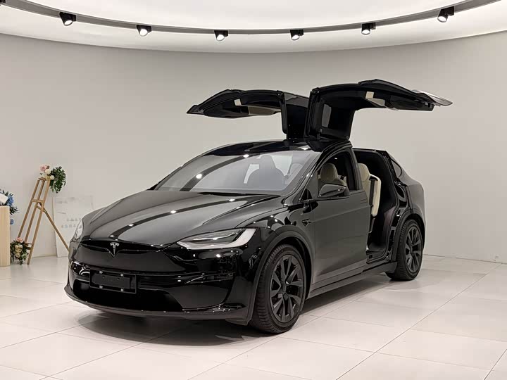 Фото 1 - Tesla Model X