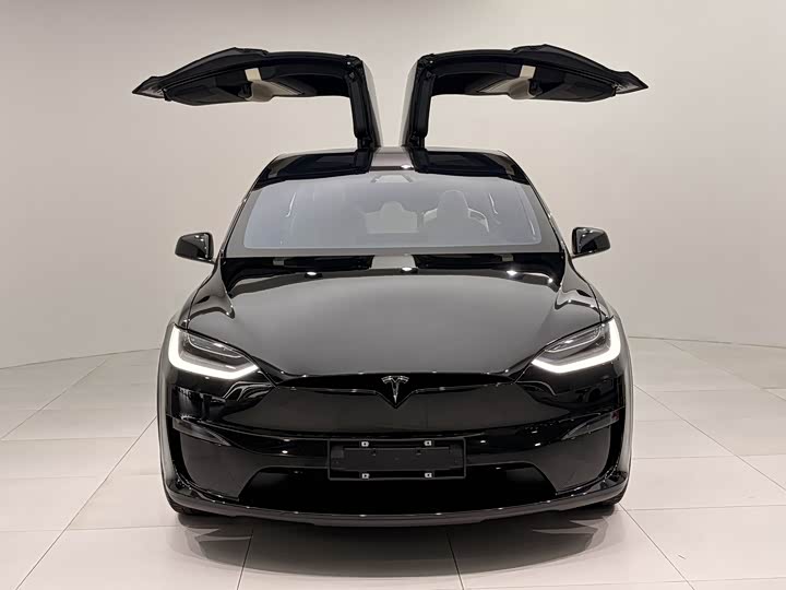 Фото 2 - Tesla Model X