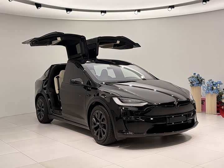 Фото 3 - Tesla Model X