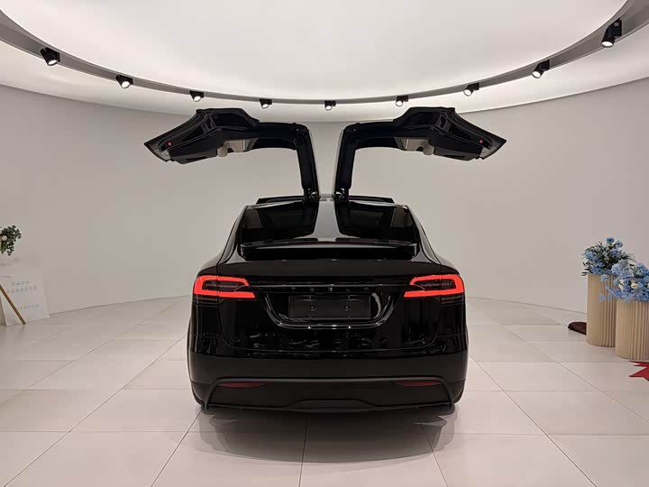 Фото 6 - Tesla Model X