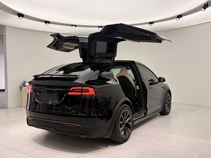 Фото 7 - Tesla Model X