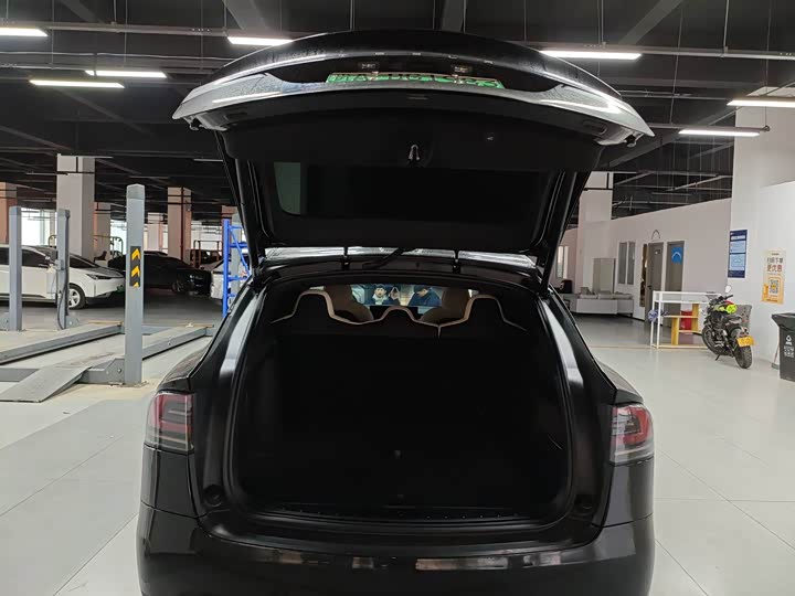 Фото 8 - Tesla Model X