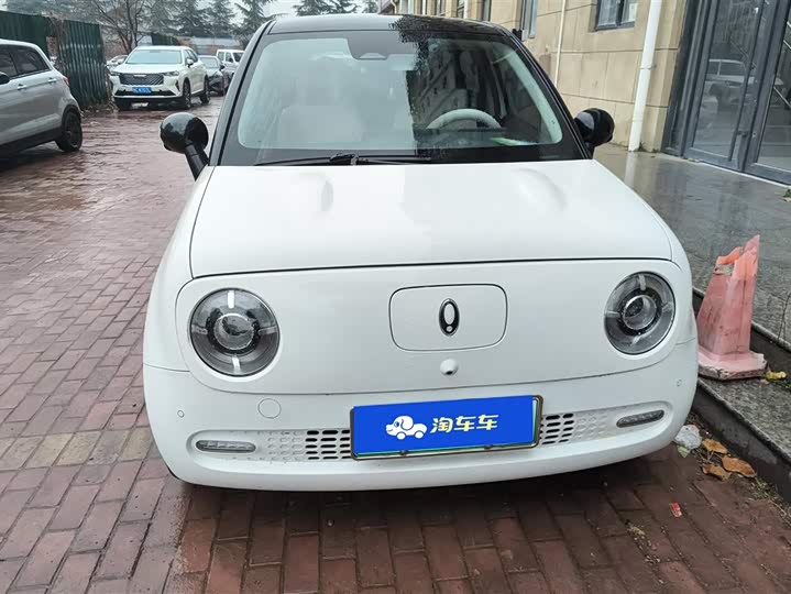 Photo 2 - Ora Black Cat