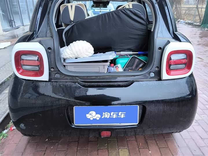 Photo 4 - Ora Black Cat