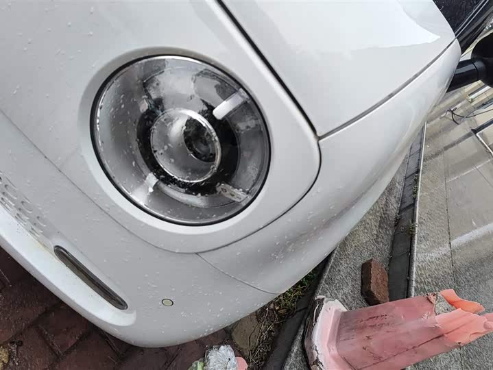 Photo 5 - Ora Black Cat