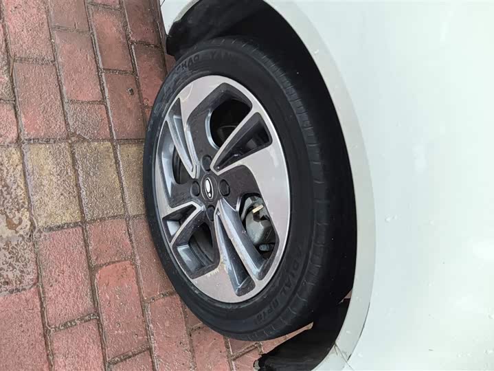 Photo 6 - Ora Black Cat