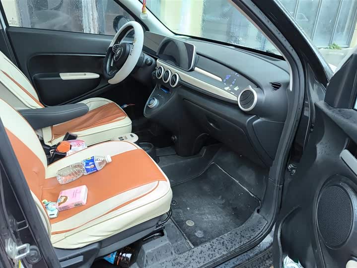 Photo 8 - Ora Black Cat