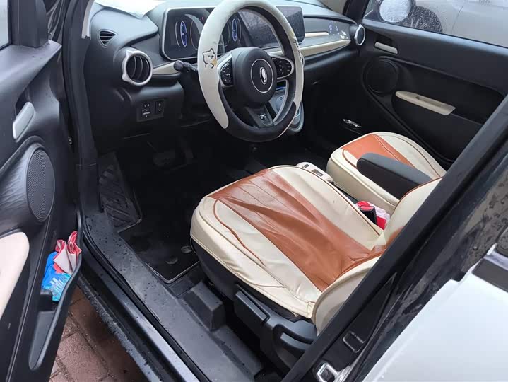 Photo 9 - Ora Black Cat