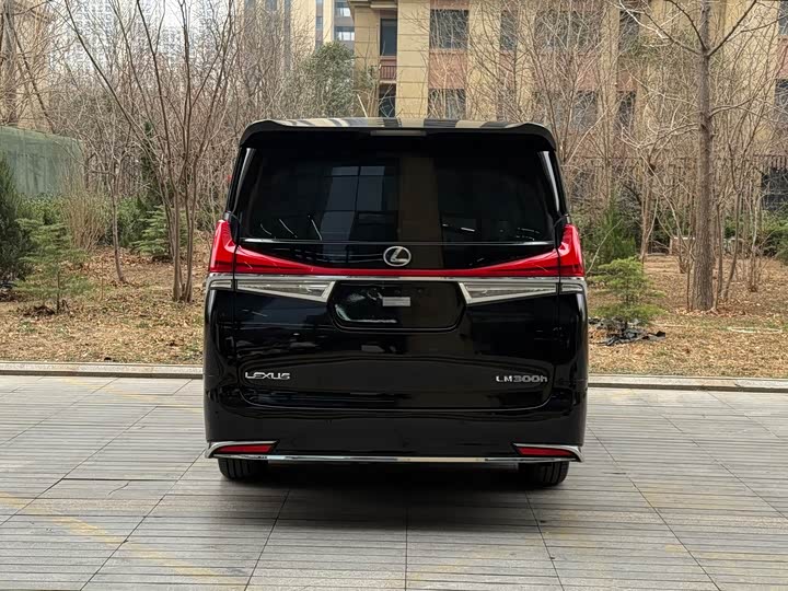 Фото 6 - Lexus LM