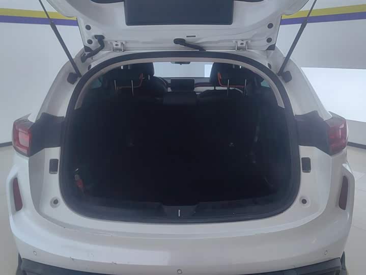 Фото 4 - Haval Chitu