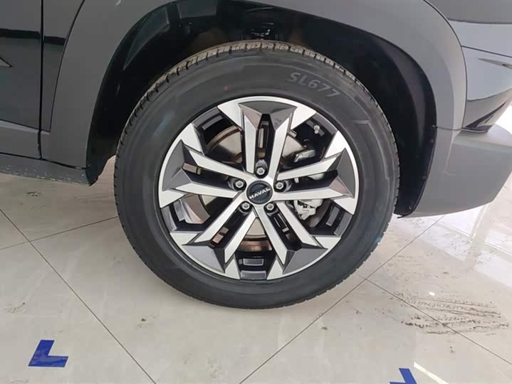 Фото 6 - Haval Dargo