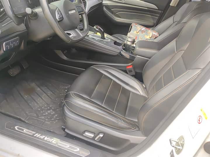 Фото 9 - Haval F7x