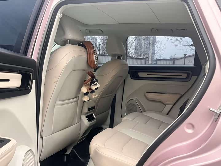 Фото 5 - Geely Icon