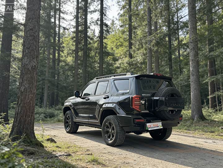 Photo 7 - Tank 400 Hybrid