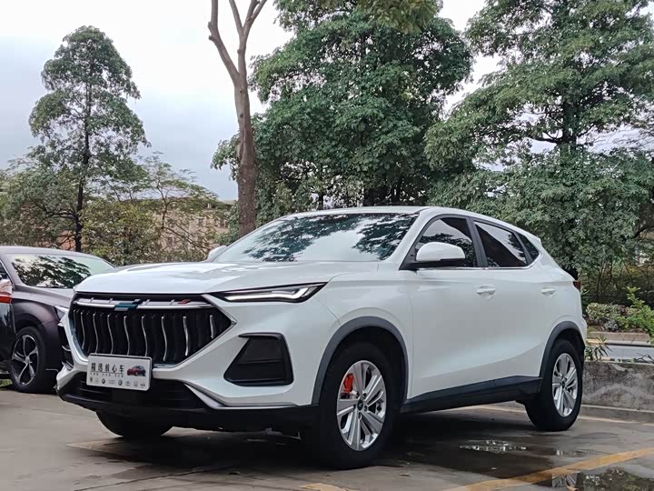 Фото 1 - Changan Oshan X5