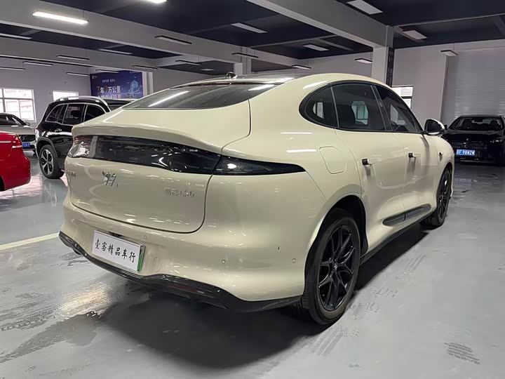 Фото 9 - IM motors LS6