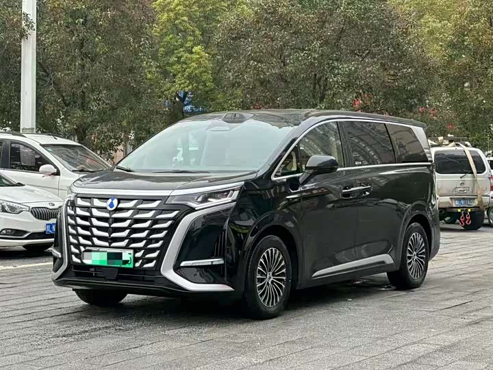 Фото 1 - Denza D9